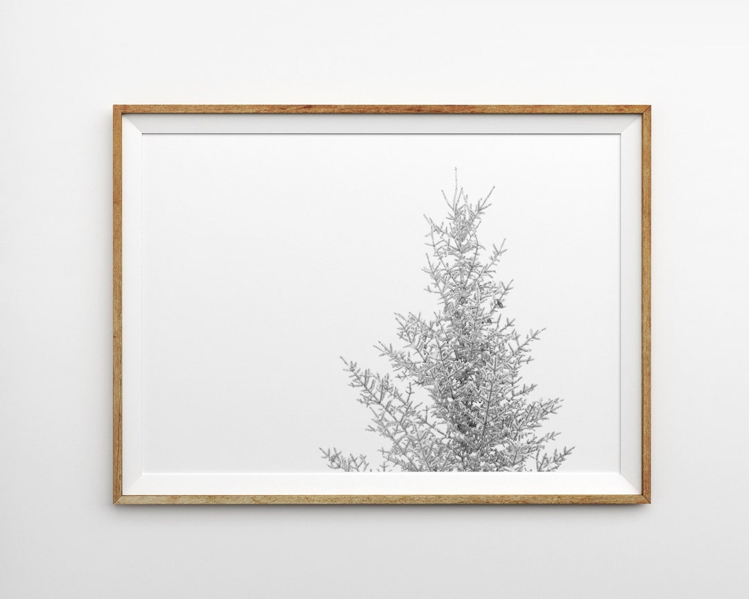 Winter Minimalist Print Snowy Pine Tree Wall Art Prints Tree Art Winter ...