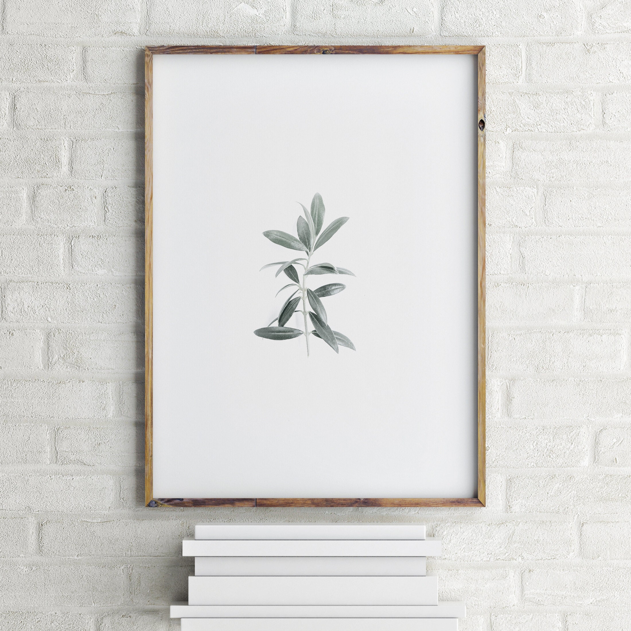 Modern Farmhouse Wall Decor Botanical Print Set of 6 Prints Gallery ...