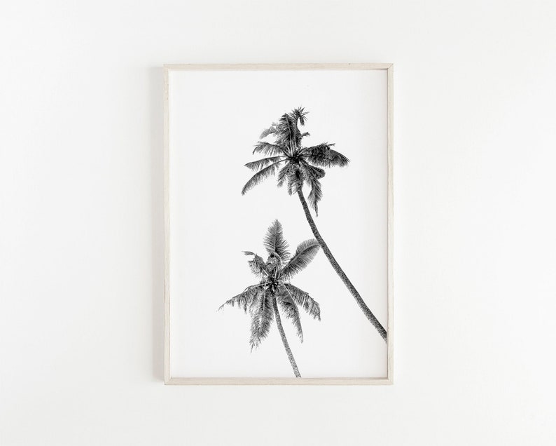May include: Black and white photograph of two palm trees against a white background.