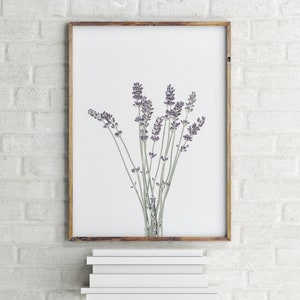 Set of 3 Prints Modern Farmhouse Print Botanical Wall Art Kitchen Wall Art Prints Printable Wall Art Lavender Print Affordable Wall Art image 4