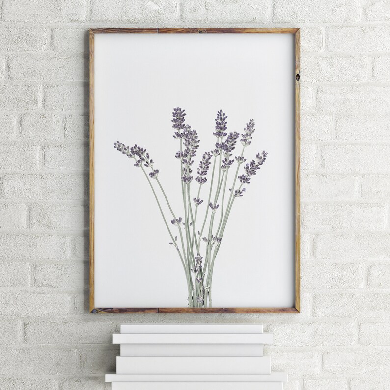 Set of 3 Prints Modern Farmhouse Print Botanical Wall Art Kitchen Wall Art Prints Printable Wall Art Lavender Print Affordable Wall Art image 4