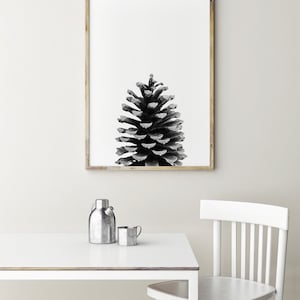 May include: A black and white photograph of a pine cone in a wooden frame. The pine cone is centred in the frame and is the only object in the image.