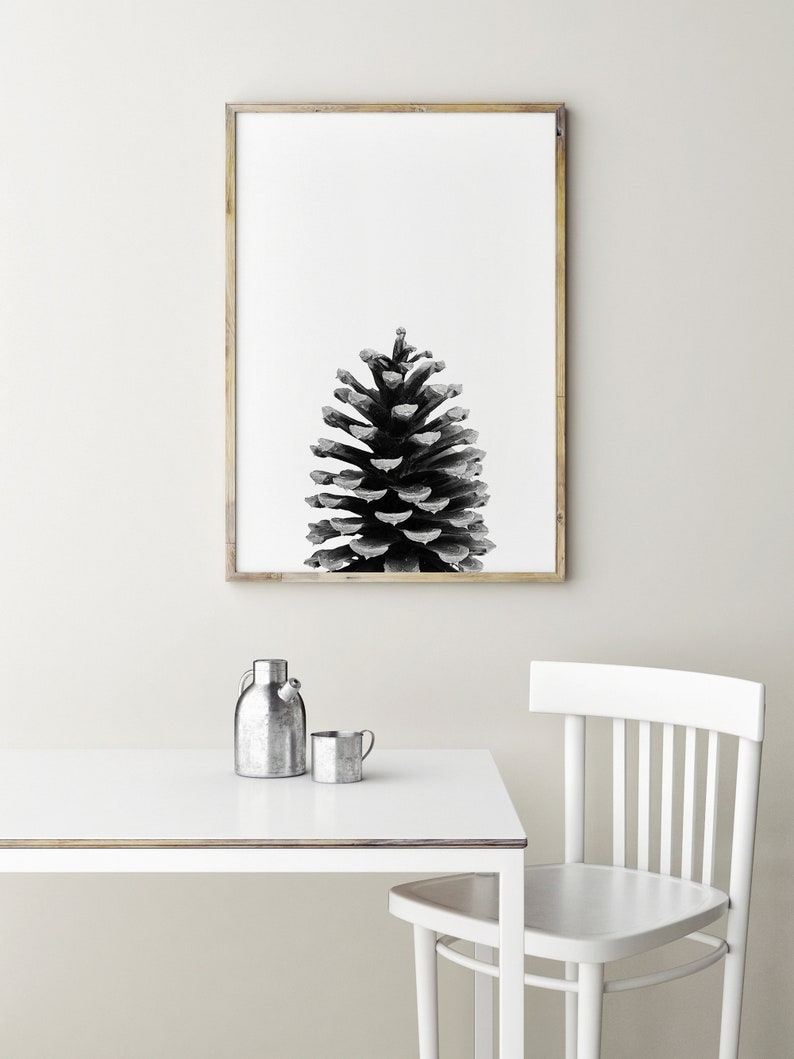 May include: A black and white photograph of a pine cone in a wooden frame. The pine cone is centred in the frame and is the only object in the image.