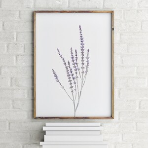 Set of 3 Prints Modern Farmhouse Print Botanical Wall Art Kitchen Wall Art Prints Printable Wall Art Lavender Print Affordable Wall Art image 5