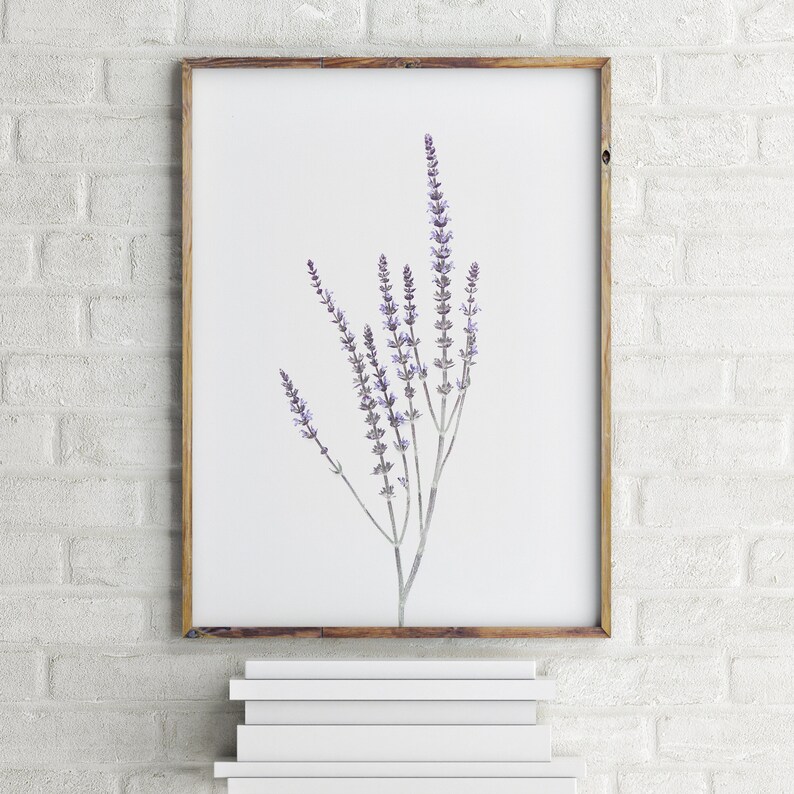 Set of 3 Prints Modern Farmhouse Print Botanical Wall Art Kitchen Wall Art Prints Printable Wall Art Lavender Print Affordable Wall Art image 5