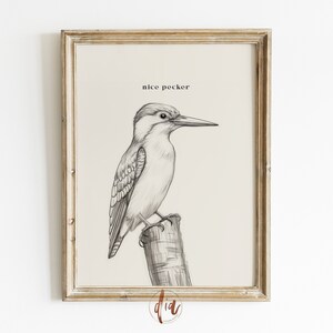 May include: Black and white line drawing of a bird perched on a branch. The bird is facing right and has a long beak. The text "nice pecker" is written above the bird.
