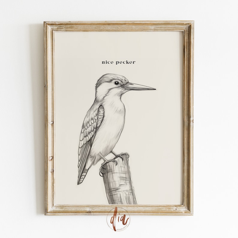 May include: Black and white line drawing of a bird perched on a branch. The bird is facing right and has a long beak. The text "nice pecker" is written above the bird.