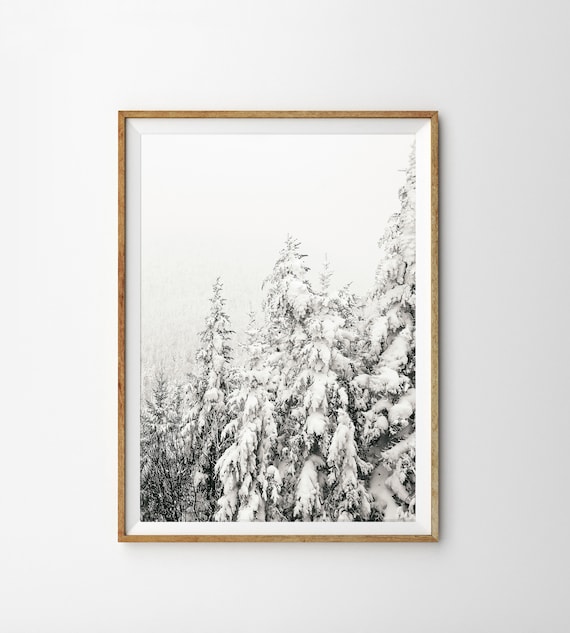 Snowy Trees Print Nordic Wall Art Prints Winter Decor Snow Covered Trees Printable Wall Art Winter Photography Evergreens Pine Trees