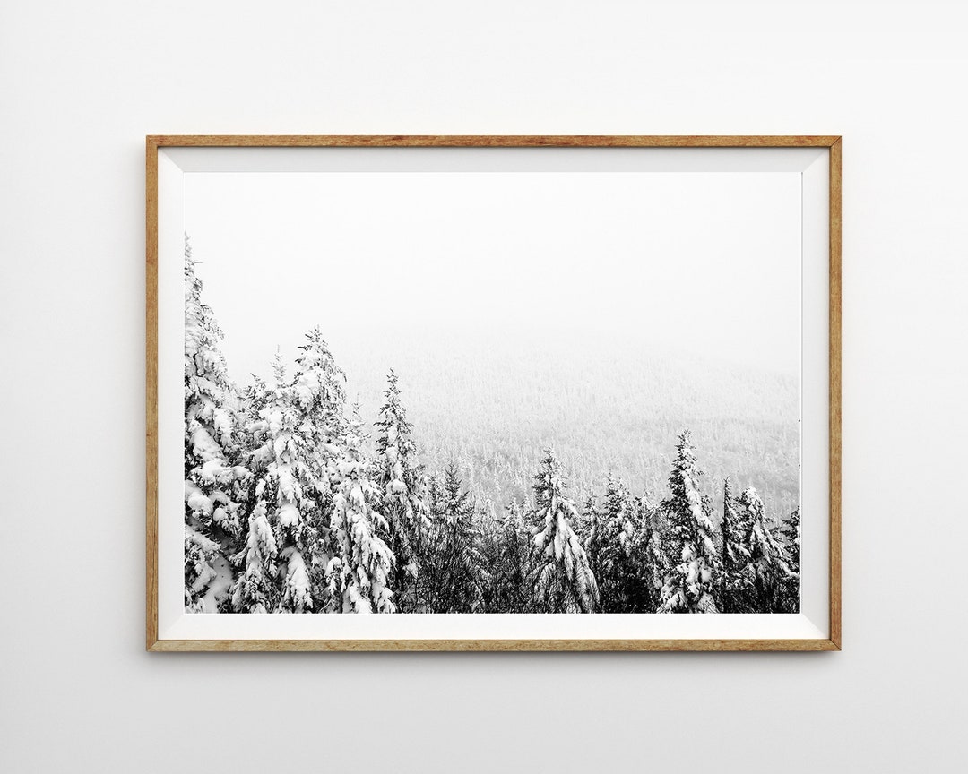 Winter Forest Print Christmas Wall Art Snow Covered Pine Trees ...