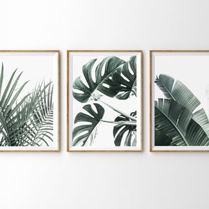 Tropical Wall Art Prints Botanical Wall Art Set of 3 Prints Triptych Wall Gallery Set 3 Piece Wall Art Monstera Leaf Print Banana Leaf Palm