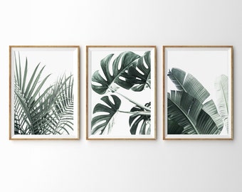 Tropical Wall Art Prints Botanische Wandkunst 3er Set Prints Triptychon Wandgalerie Set 3 Stück Wandkunst Monstera Blatt Print Banana Leaf Palm