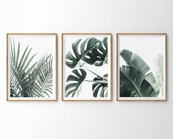 Tropical Wall Art Prints Botanical Set Of 3 - Botanical Wall Art Set Of 3 Tropical Wall Art Prints Botanical Set Of 3 - Botanical Wall Art Set Of 3