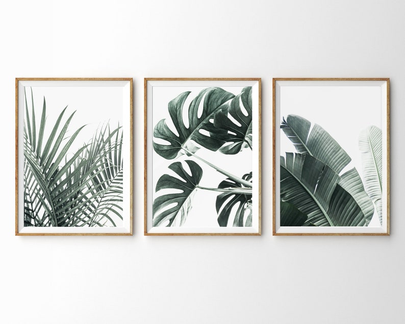 Tropical Wall Art Prints Botanical Set Of 3 Triptych Gallery Piece Monstera Leaf Print Banana Palm