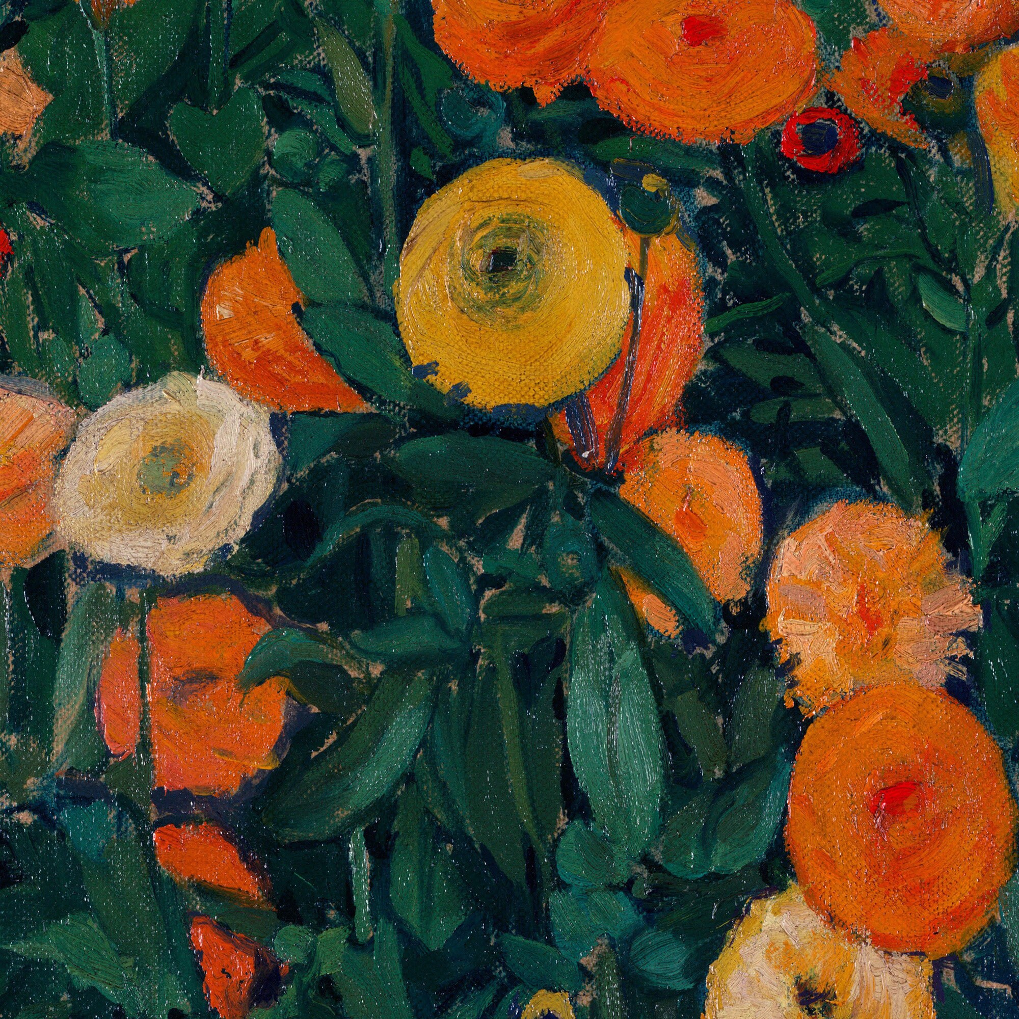 油絵アート（orange flower） 71I6-+kLdUL._UF350,350_QL50_.jpg