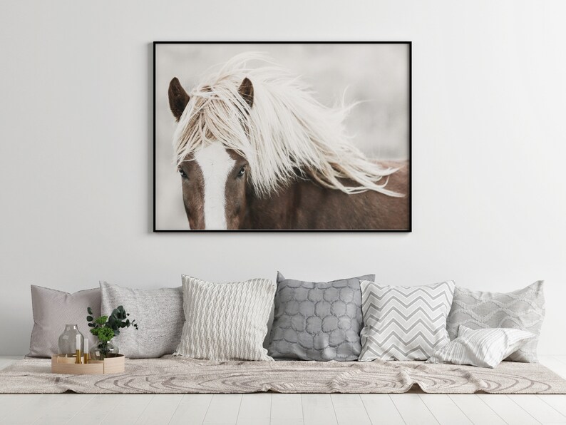 Horse Wall Art Prints Horse Photography Icelandic Horse Print - Etsy