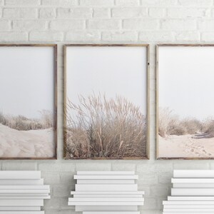 Beach Grass Set of 3 Prints Coastal Decor Beach Wall Art Neutral Print Set Modern Coastal Farmhouse Large Wall Art Printable Poster Print image 2