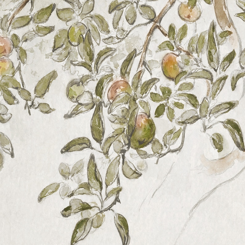 May include: Watercolor painting of a branch with green leaves and small, round, light brown fruit. The fruit is clustered together on the branch, and the leaves are arranged in a loose, organic pattern.