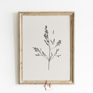 May include: A framed black and white line drawing of a single plant with delicate branches and leaves on a beige background.