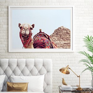 May include: A camel with colorful saddle blankets stands in front of a large sand dune. The camel is looking directly at the camera. The background is a light blue sky.
