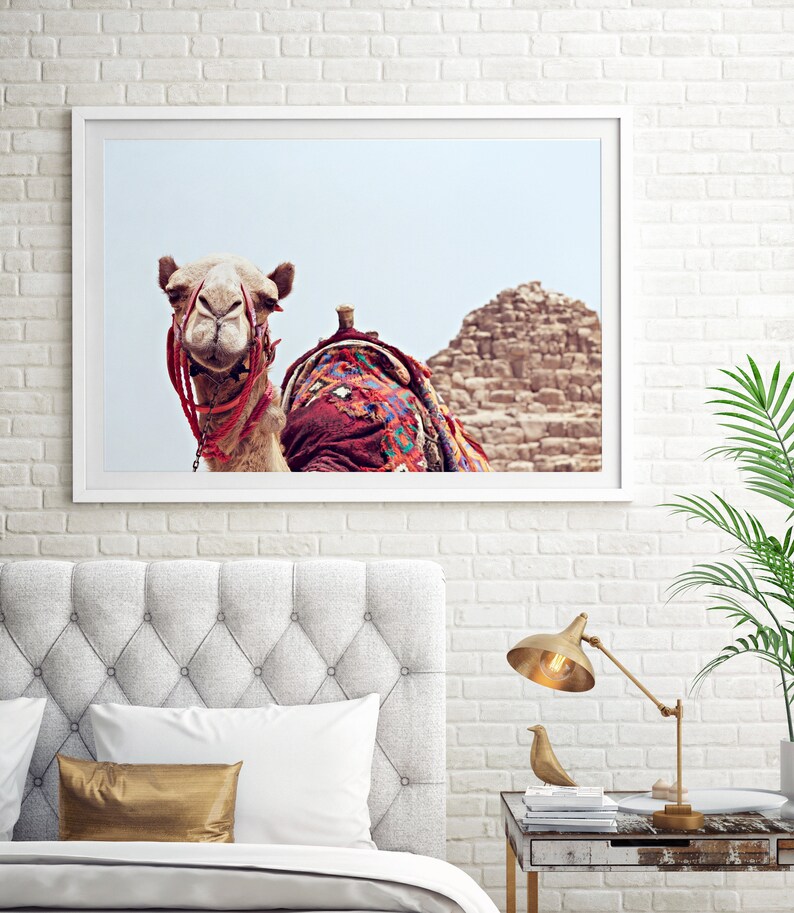 May include: A camel with colorful saddle blankets stands in front of a large sand dune. The camel is looking directly at the camera. The background is a light blue sky.