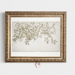 May include: A framed watercolor painting of a tree branch with green leaves and small, orange fruit. The painting is on a white background and is framed in a gold frame.
