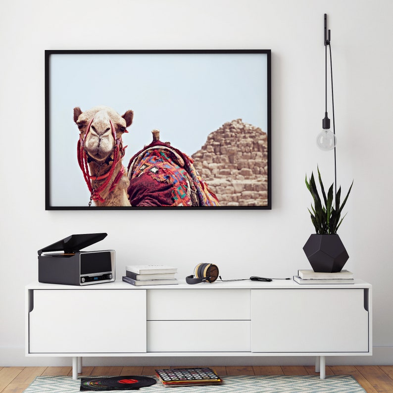 May include: A framed photograph of a camel with a colorful saddle in front of a sand dune. The photo is hanging on a white wall above a white dresser with a record player, headphones, and books on top.