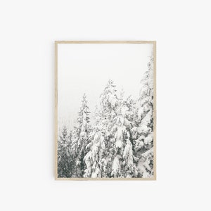 Op de afbeelding: Een ingelijste zwart-witfoto van een besneeuwd bos. De bomen zijn bedekt met sneeuw en de lucht is lichtgrijs.