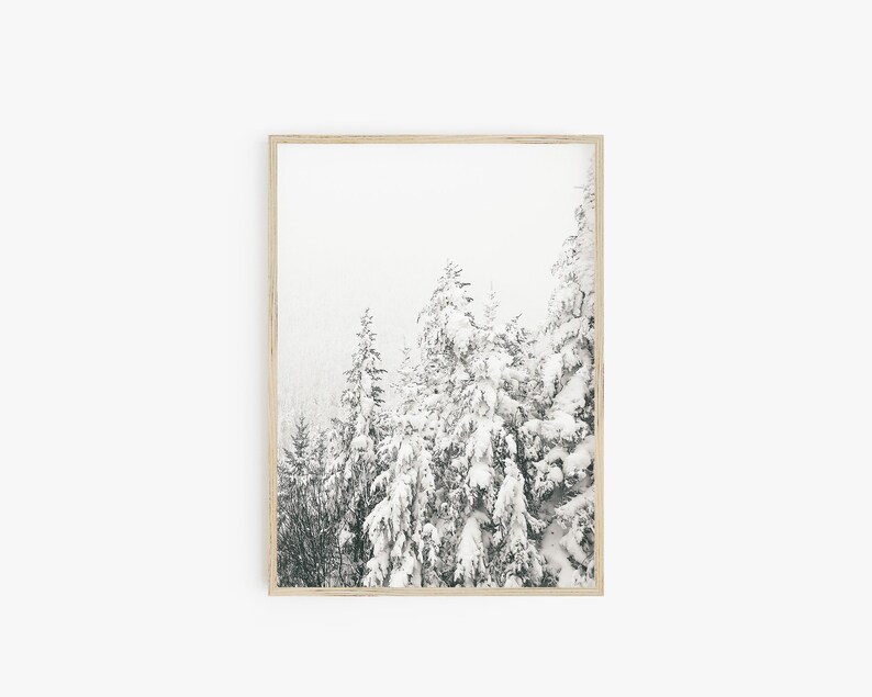 Op de afbeelding: Een ingelijste zwart-witfoto van een besneeuwd bos. De bomen zijn bedekt met sneeuw en de lucht is lichtgrijs.