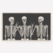 Halloween Samsung Frame TV Art, Funny Skeletons, Fall Art, Modern Halloween, Digital Download, Instant Download, LG tv Art, Black Beige Art 