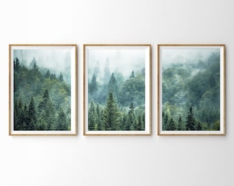 Puede incluir: Un conjunto de tres impresiones enmarcadas que muestran una escena de bosque brumoso con árboles verdes altos. Las impresiones están dispuestas en una fila horizontal.