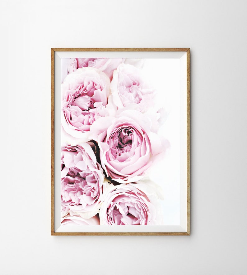 Art Download Photography Printable Peony Decor Print Living Poster Room Blush Flower Peonies Art Bedroom Pink Instant Floral Decor Wall Peony Poster Flower Art Printable Instant Photography Print Wall Bedroom Living Download Decor Pink Peonies Floral Decor Art Room Blush