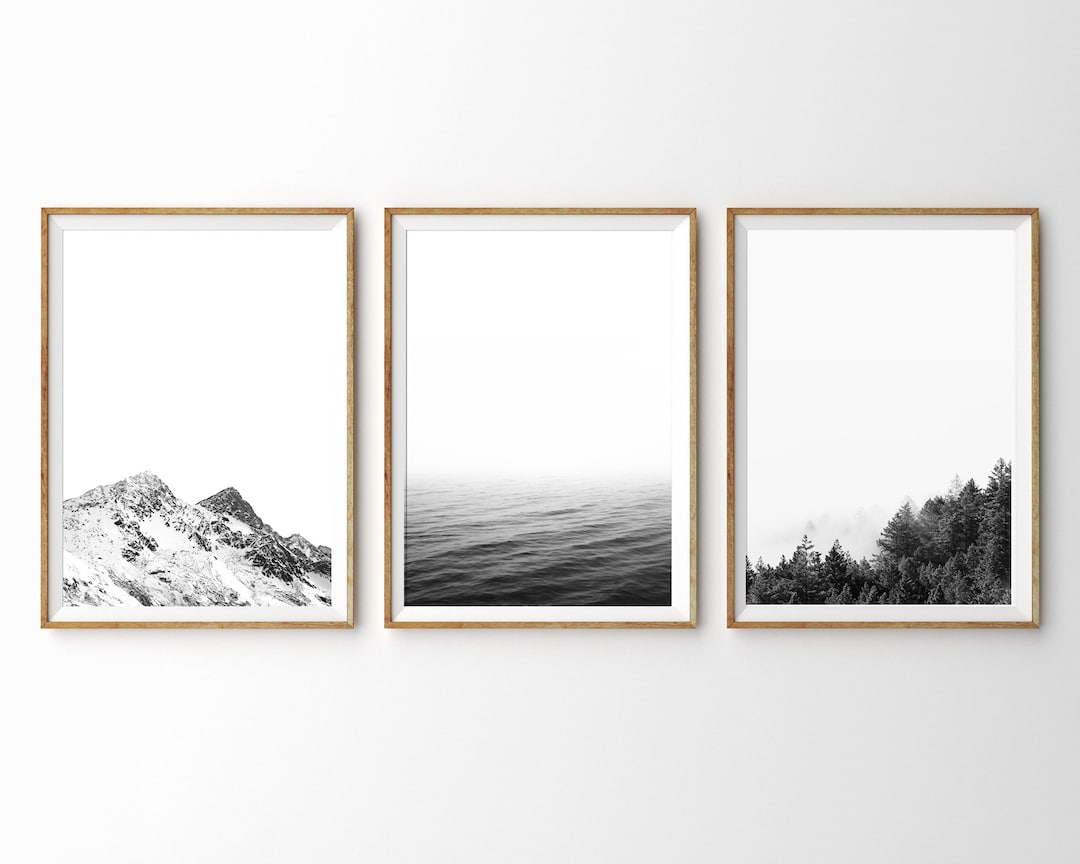 3 Piece Wall Art Black and White Nature Prints Landscape Photography
