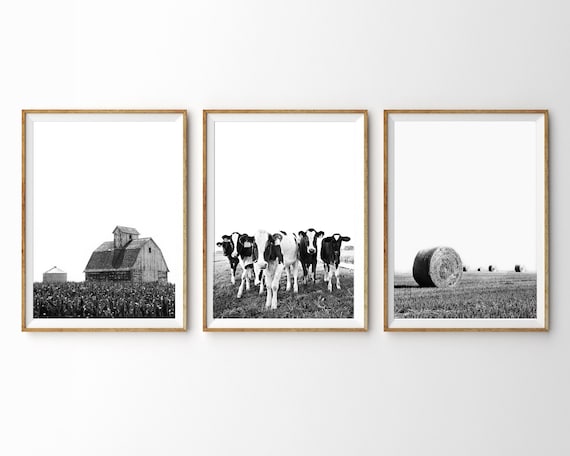 Set of 3 Farm Prints Cows Barn Hay Print Modern Farmhouse Decor Black White Print Farmhouse Kitchen Wall Art 3 Piece Wall Art Triptych Art
