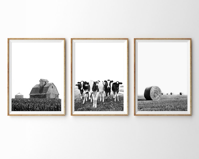 Set of 3 Farm Prints Cows Barn Hay Print Modern Farmhouse Decor Black White Print Farmhouse Kitchen Wall Art 3 Piece Wall Art Triptych Art image 1