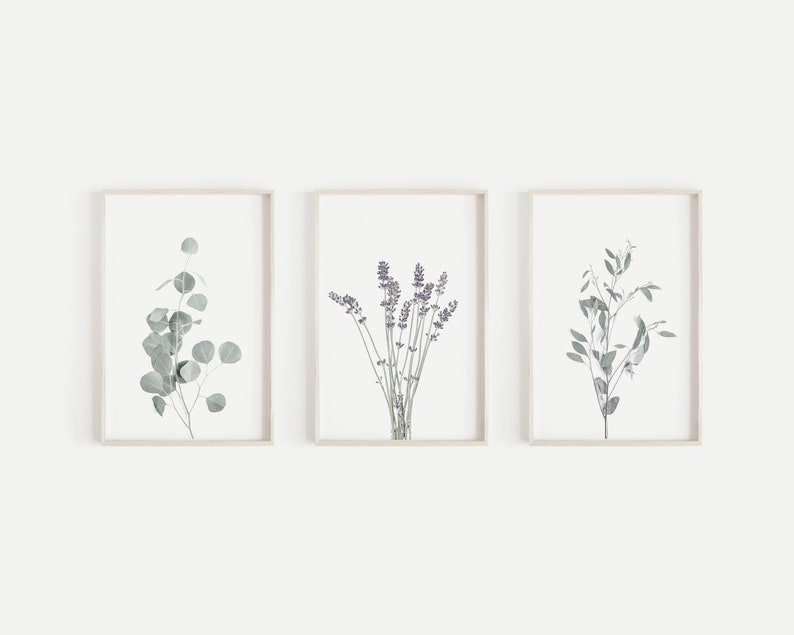 Set of 3 Prints Modern Farmhouse Print Botanical Wall Art Kitchen Wall Art Prints Printable Wall Art Lavender Print Affordable Wall Art image 1