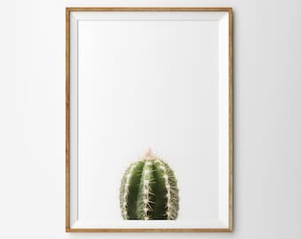 Cactus Print Succulent Print Cactus Wall Art Cactus Printable Cactus Poster Printable Art Botanical Print Desert Cactus Print Boho Wall Art