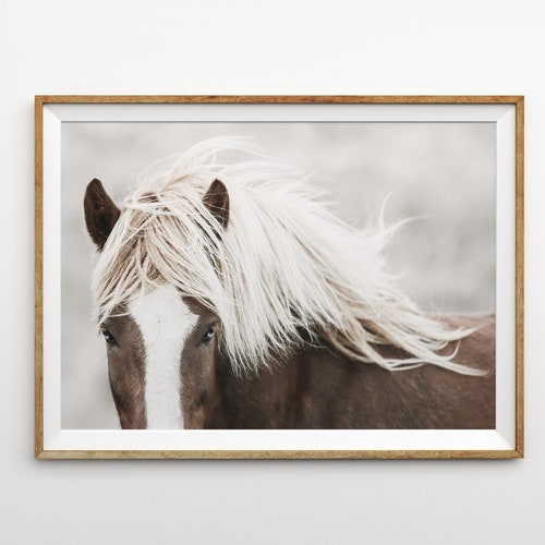 Horse Wall Art Prints Horse Photography Icelandic Horse Print Etsy