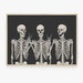 Halloween Printable Wall Art, Halloween Decor, Funny Skeleton Print, Horizontal Print, Digital Prints, Large Poster Print, Downloadable Art 
