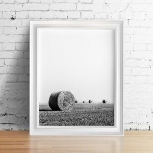 May include: A black and white photograph of hay bales in a field. The hay bales are round and are arranged in a row. The photograph is framed in a white frame.