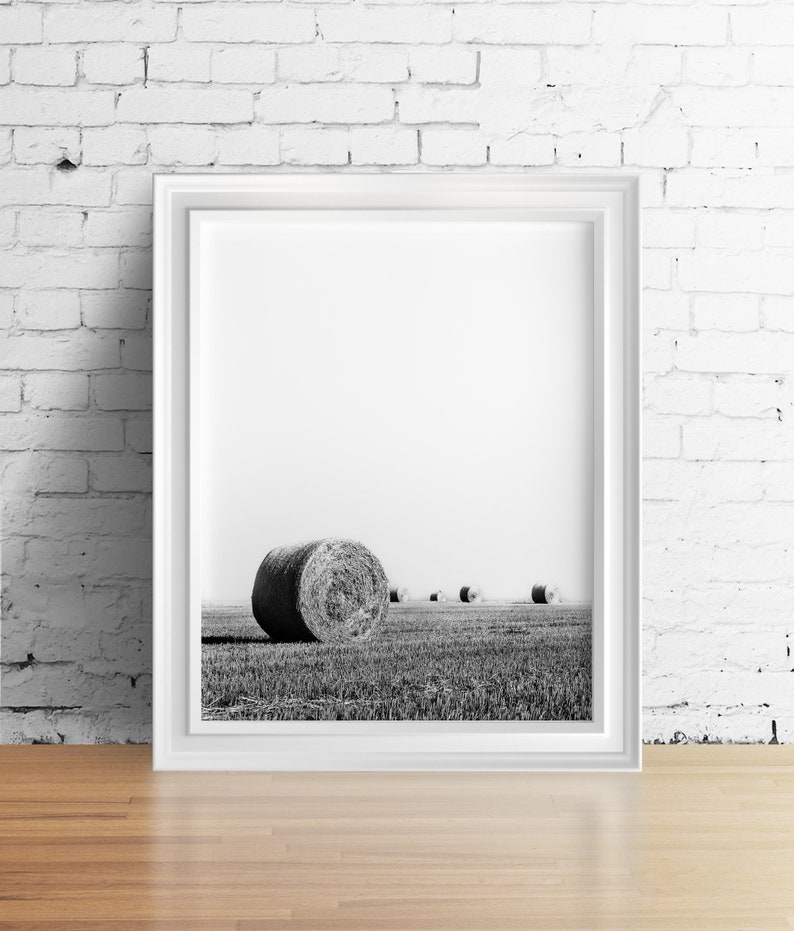 May include: A black and white photograph of hay bales in a field. The hay bales are round and are arranged in a row. The photograph is framed in a white frame.