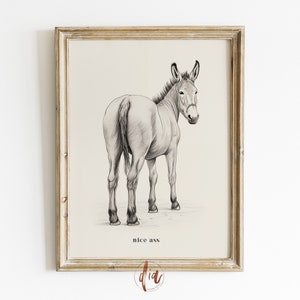 Funny Bathroom Digital Print, Nice Ass Printable Wall Art, Donkey Poster, Vintage Illustration, Toilet Humor, Bathroom Decor