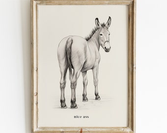 Funny Bathroom Digital Print, Nice Ass Printable Wall Art, Donkey Poster, Vintage Illustration, Toilet Humor, Bathroom Decor