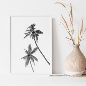 May include: Black and white photograph of two palm trees against a white background. The photograph is framed in a white frame.