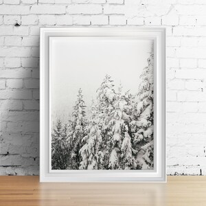 May include: A black and white photograph of a snowy forest scene. The trees are covered in snow and the sky is a light grey. The photo is framed in a white frame.