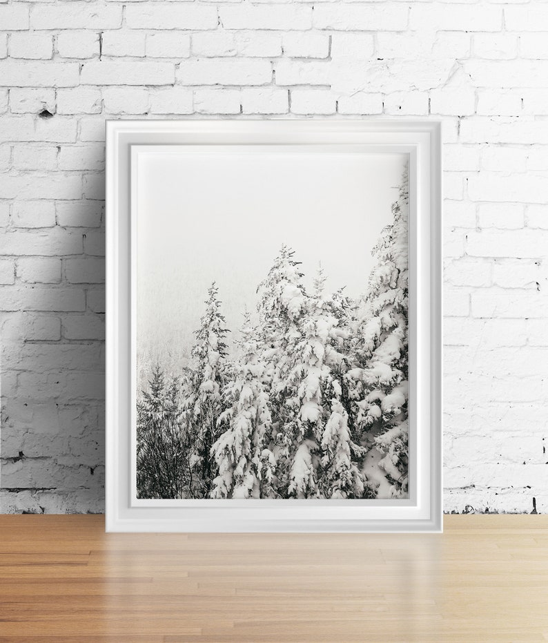 May include: A black and white photograph of a snowy forest scene. The trees are covered in snow and the sky is a light grey. The photo is framed in a white frame.