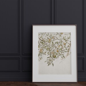 May include: A framed watercolor painting of a branch of a tree with green leaves and yellow fruit. The background is a light beige color.