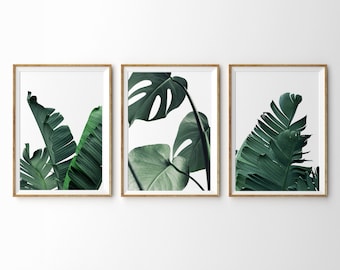 May include: Three framed prints of tropical leaves. The prints feature a close-up of a monstera leaf, a banana leaf, and a different variety of banana leaf.