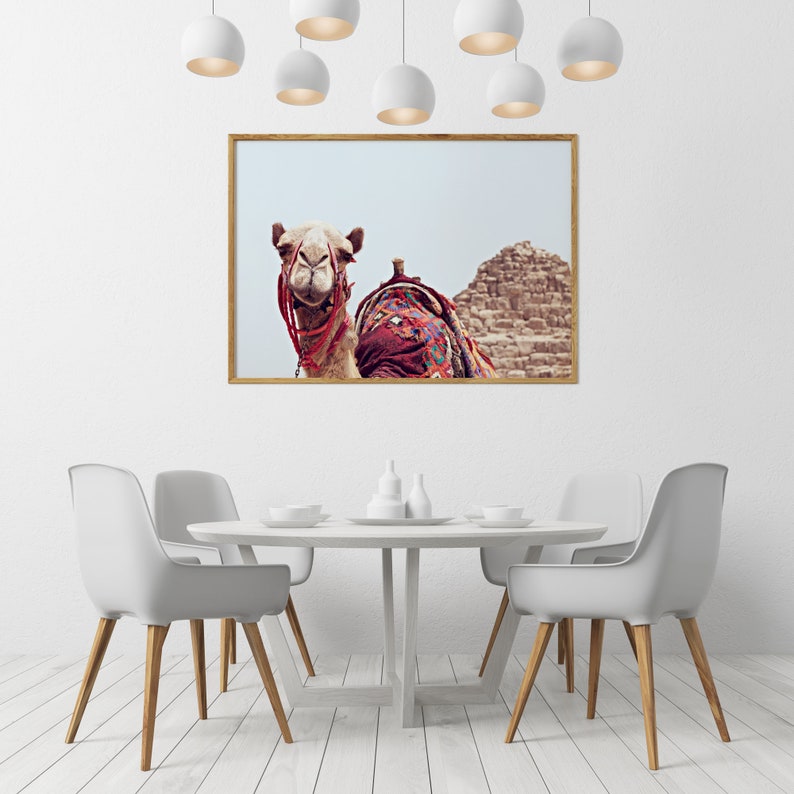 May include: A camel with a colorful saddle stands in front of a stone pyramid. The camel is looking directly at the camera. The image is framed in a wooden frame.
