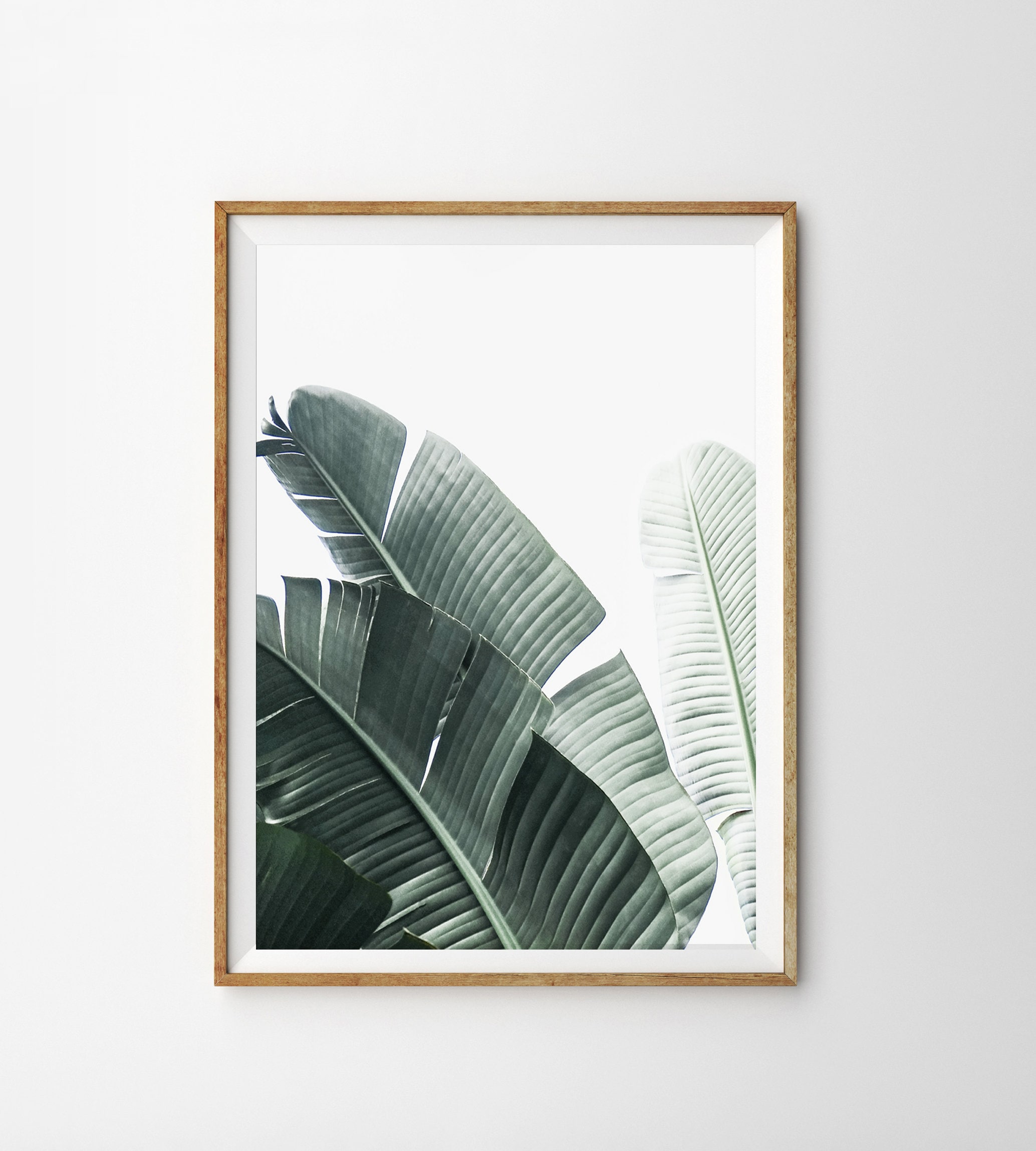 Tropical Leaf Print Tropical Decor Botanical Wall Art Prints Plant ...