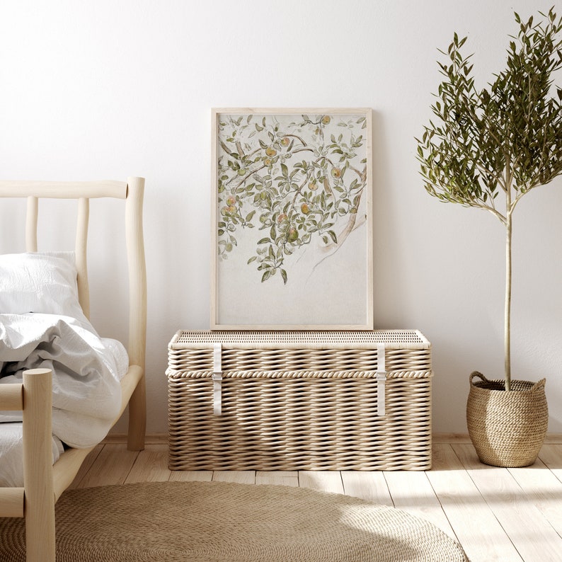 May include: A wicker storage trunk with a white woven lid and two white straps. The trunk is in front of a white wall with a framed botanical print of a tree branch with green leaves and yellow fruit. A potted olive tree is on the right side of the image.